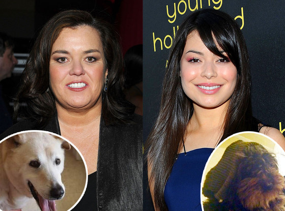 Rosie O'Donnell, Miranda Cosgrove Rosie O'Donnell, Miranda Cosgrove